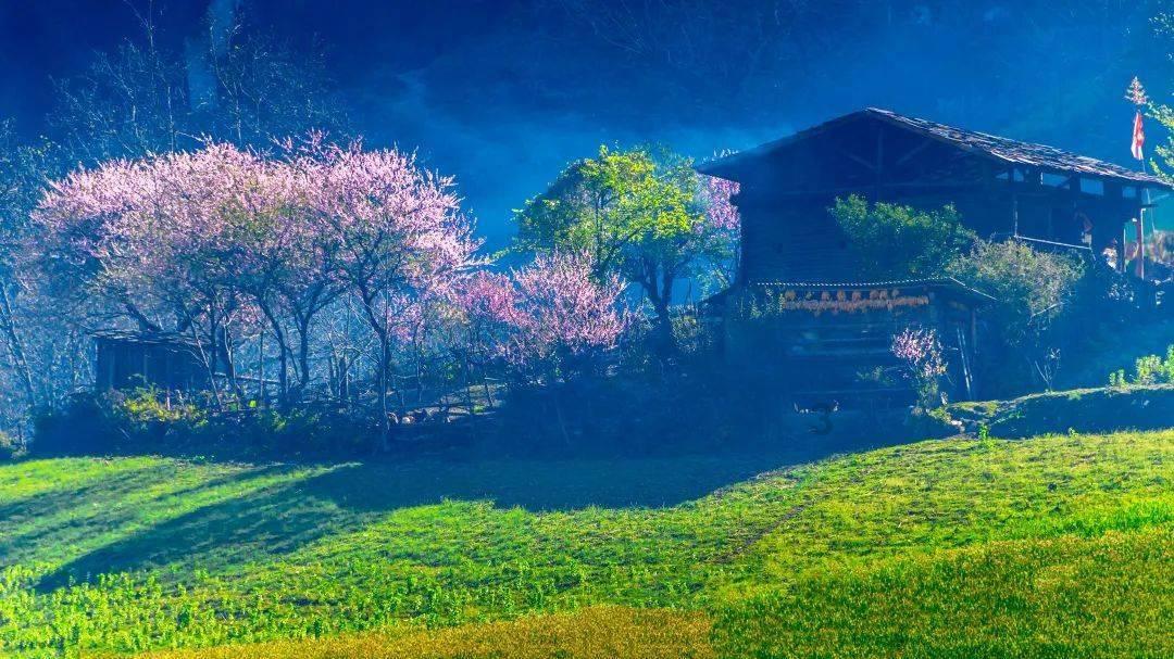 去香港要护照吗?游戏画面